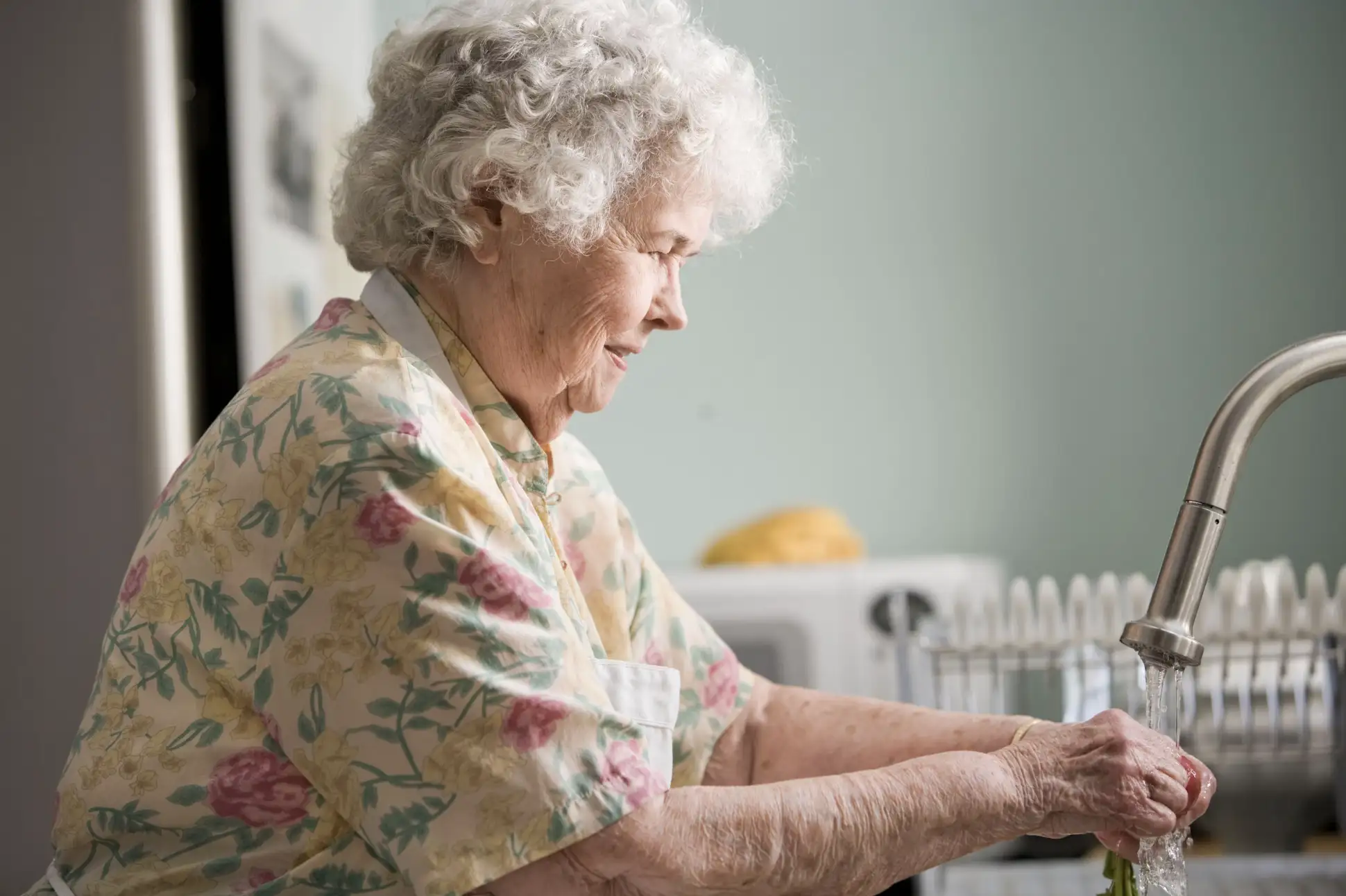 In-Home Support